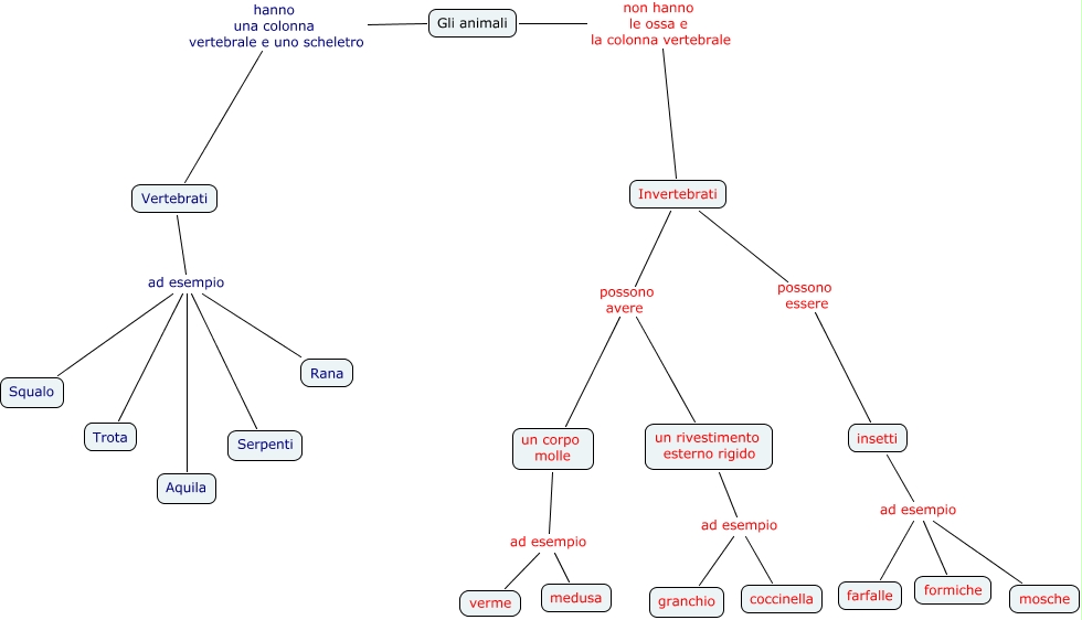 Differenza Tra Animali Vertebrati E Invertebrati